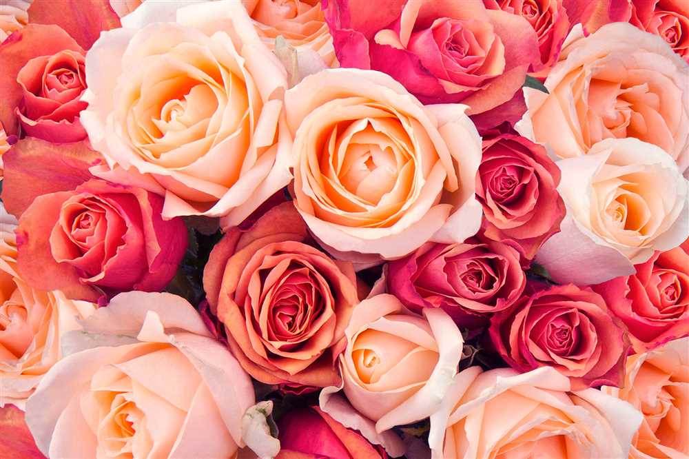 Розы: секреты красоты и здоровья растений