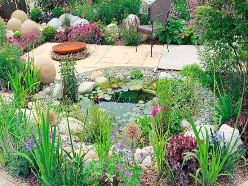 Декоративные садовые растения: как создать красивый и уютный сад
