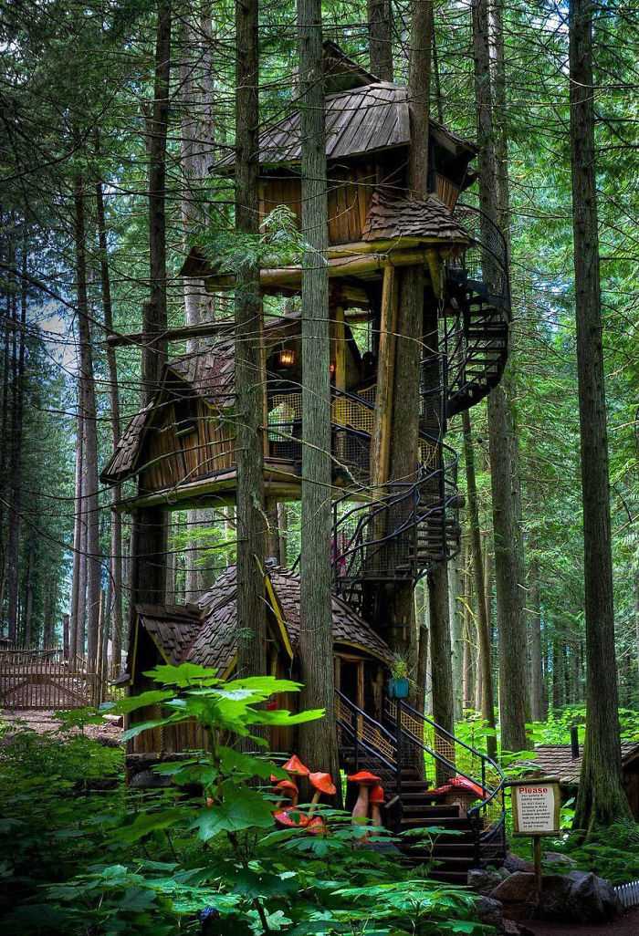 Дома на деревьях: необычные и уютные резиденции в лесу