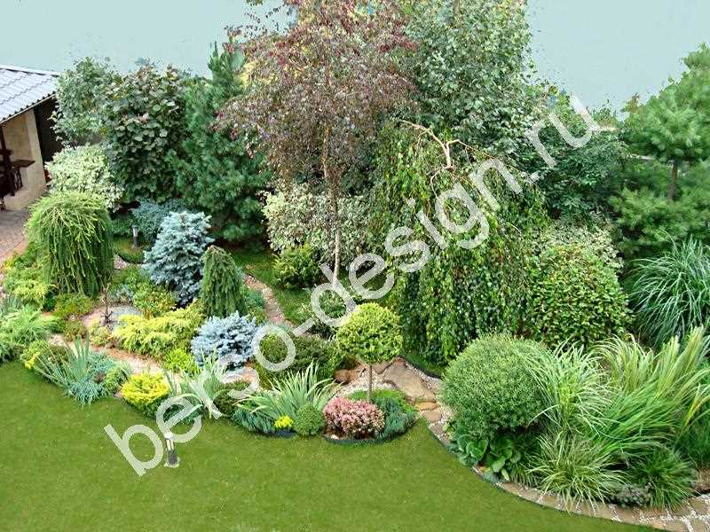 Озеленение сада: выбор растений и их размещение на участке